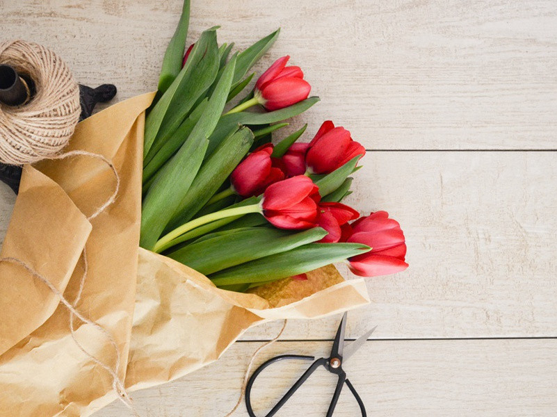 海墨分身有术-组成探险队