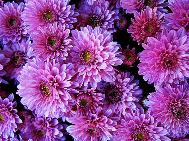 漂流开始了-太平洋上的一叶扁舟