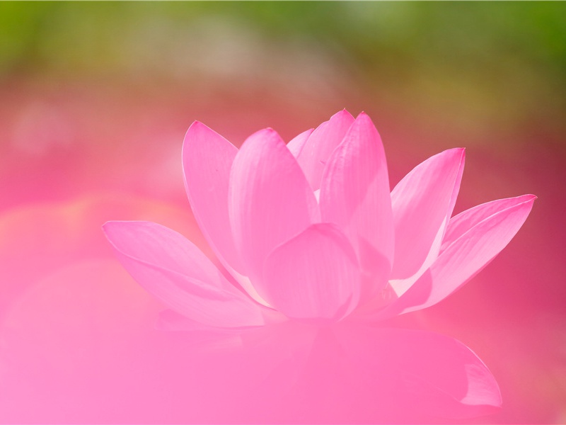 海上的补给-太平洋上的一叶扁舟