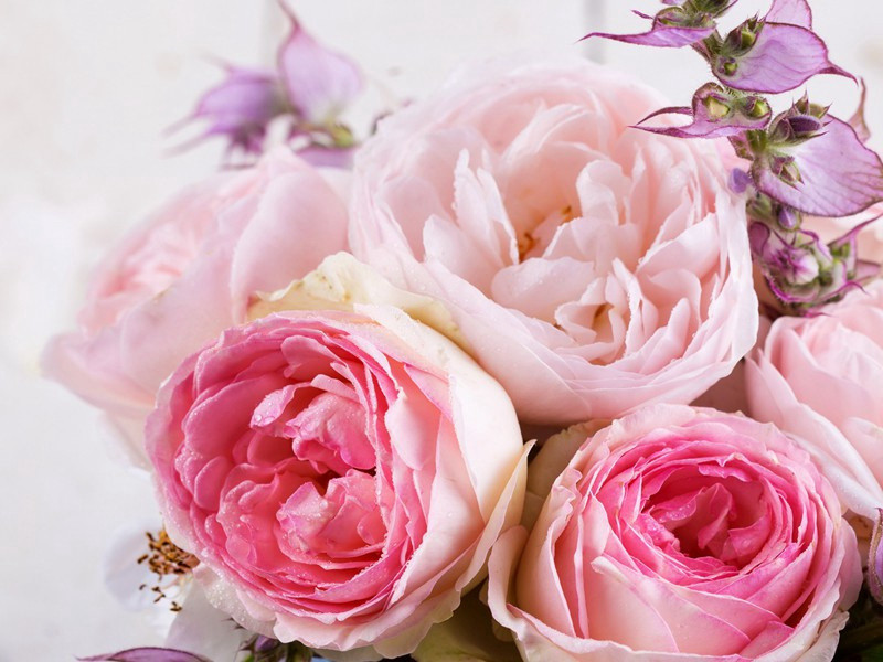 躲在潜水筐里-太平洋上的一叶扁舟