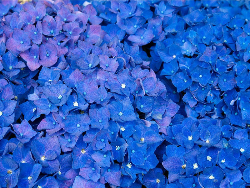 暴风雨的袭击-太平洋上的一叶扁舟