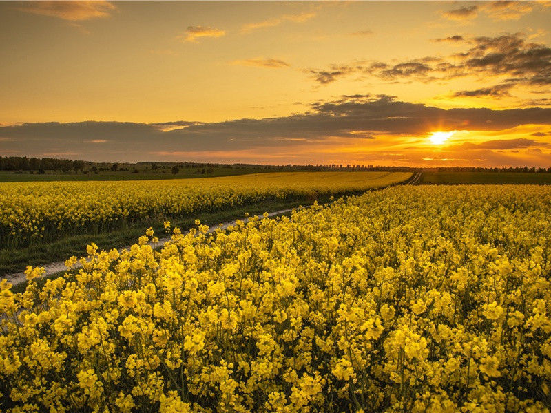 鲨鱼的喋血战争-太平洋上的一叶扁舟