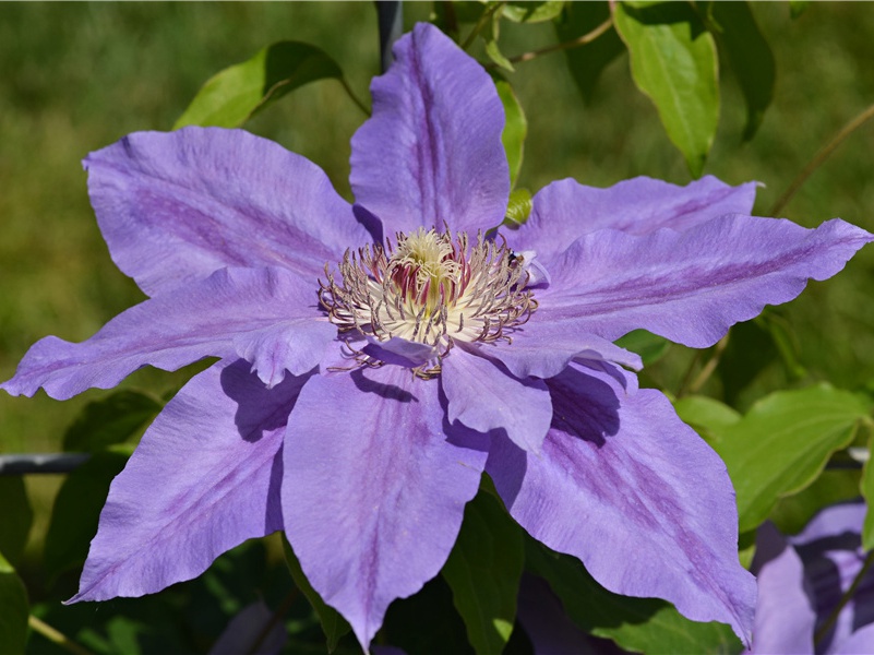 克那特救人英雄-太平洋上的一叶扁舟