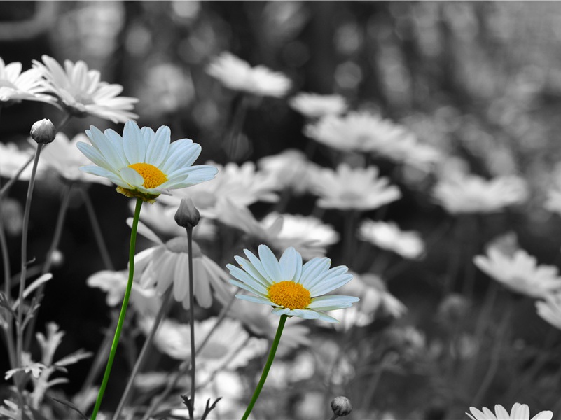 第二场暴风雨-太平洋上的一叶扁舟