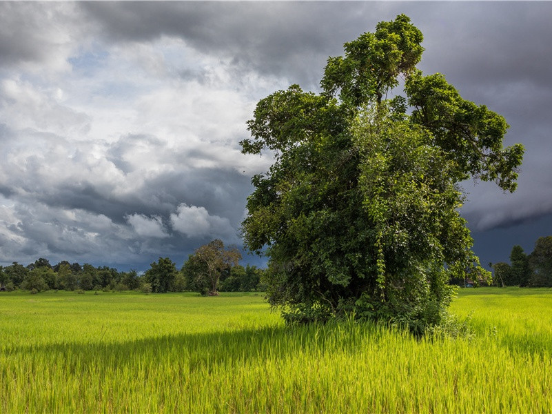 最后的冲刺-漂流生涯的结束