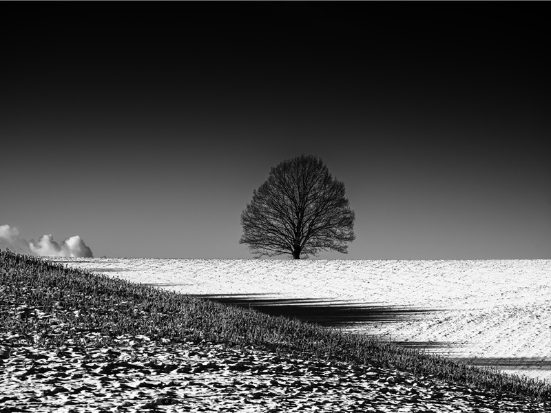 藏宝秘密-古地图及宝藏专古传奇