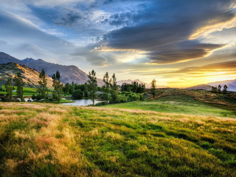 赫尔曼和克那特当上了大夫-和棕色友人在一起