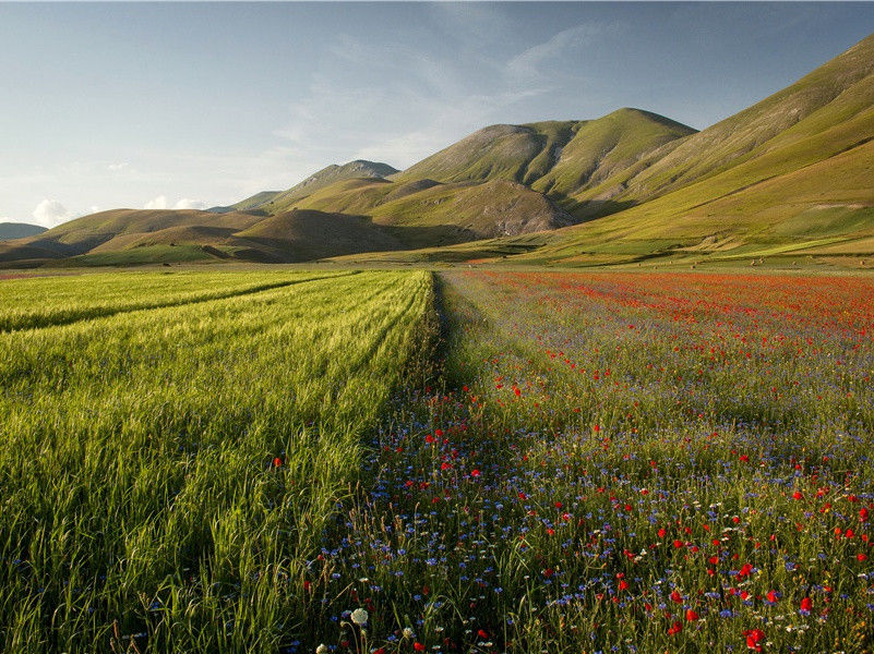 解开巴哈马岛海底之谜-传说中失踪的古大陆