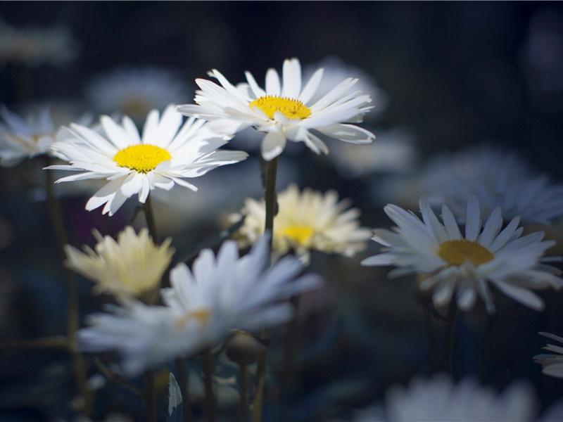 内含气泡的51层雪球-奇特的天文之秘