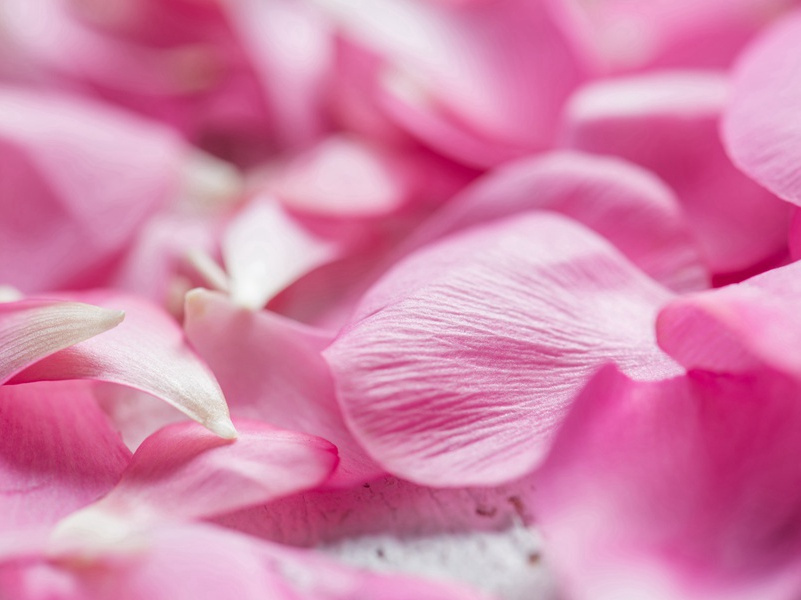 神秘之物从何而来-奇特的天文之秘