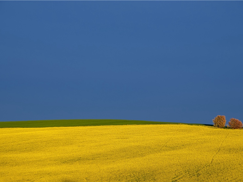 巴巴多斯棺材之谜-神秘的传说-神秘的大自然