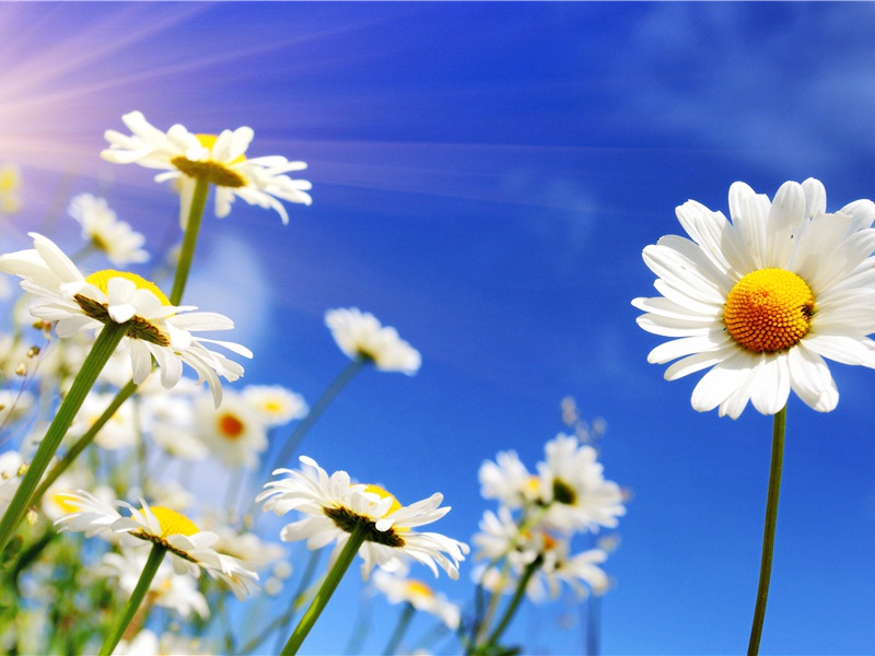 清泉之谜-神秘的传说-神秘的大自然