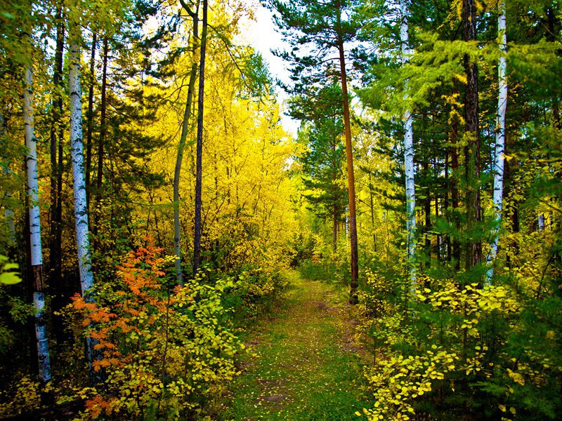 无奇不有的“雨水”-无法破译的密码-神秘的大自然