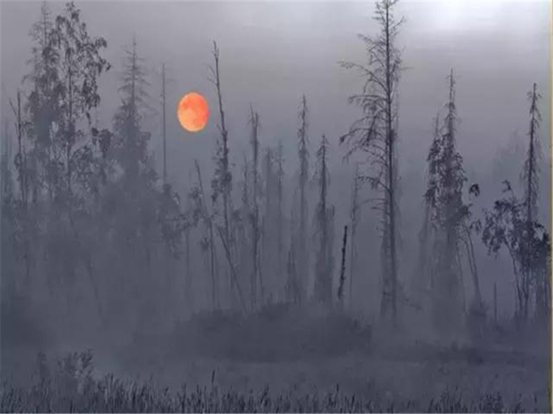 马可.波罗是否到过中国-历史名人事迹追踪