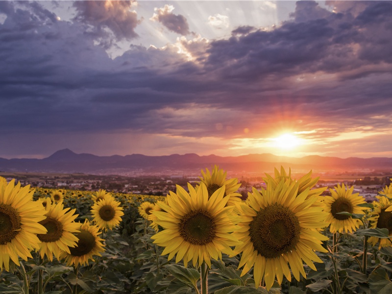 峨眉山神灯奇观-神奇的自然现象揭秘