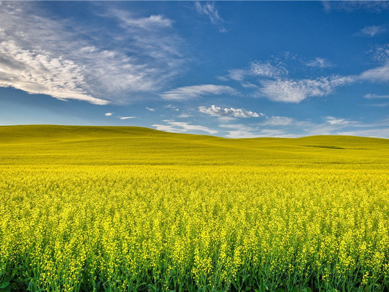 假太阳形成之谜-神奇的自然现象揭秘