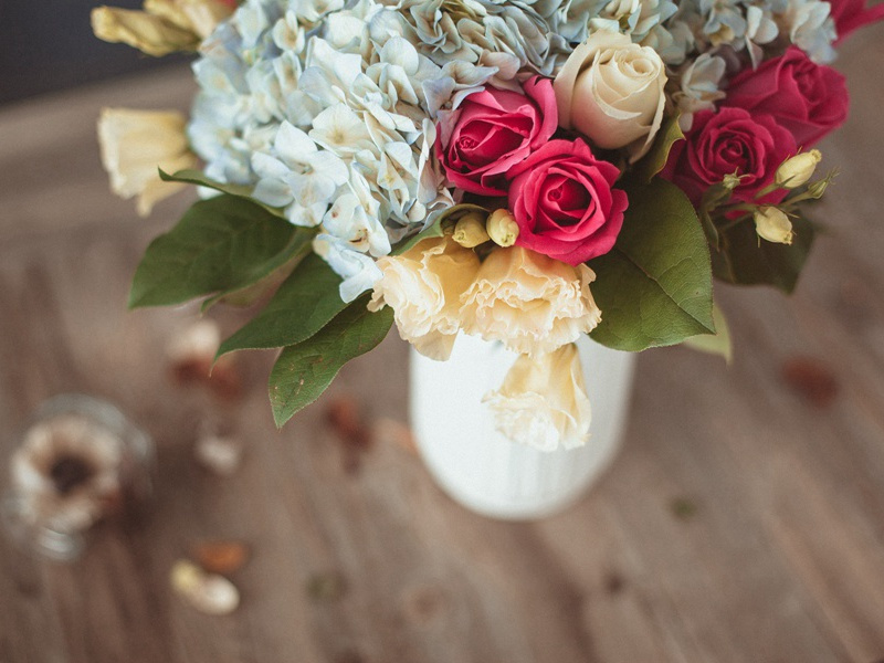 海上生物光奇观-神奇的自然现象揭秘