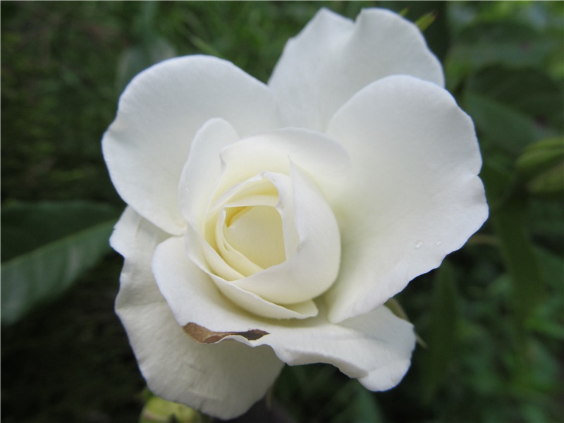 火山奇观-神奇的自然现象揭秘