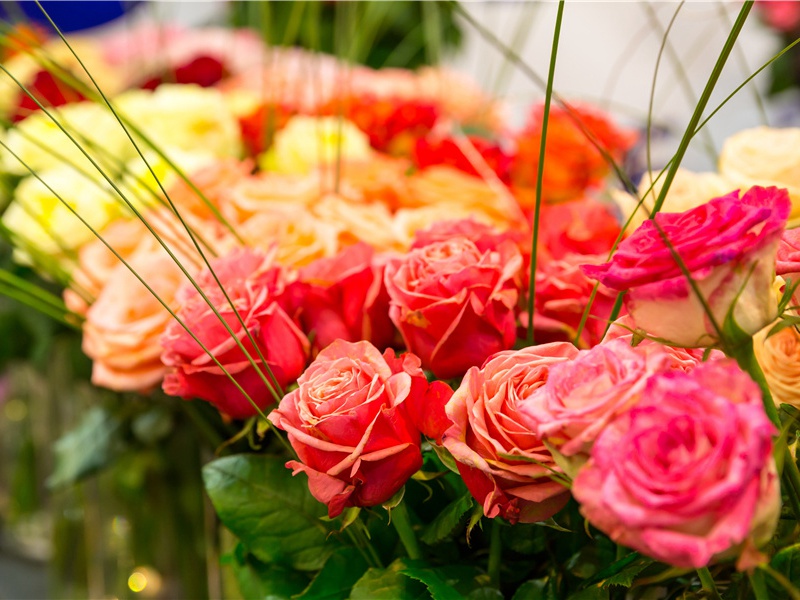 一群古建筑的“趣”与“怪-神奇的自然现象揭秘