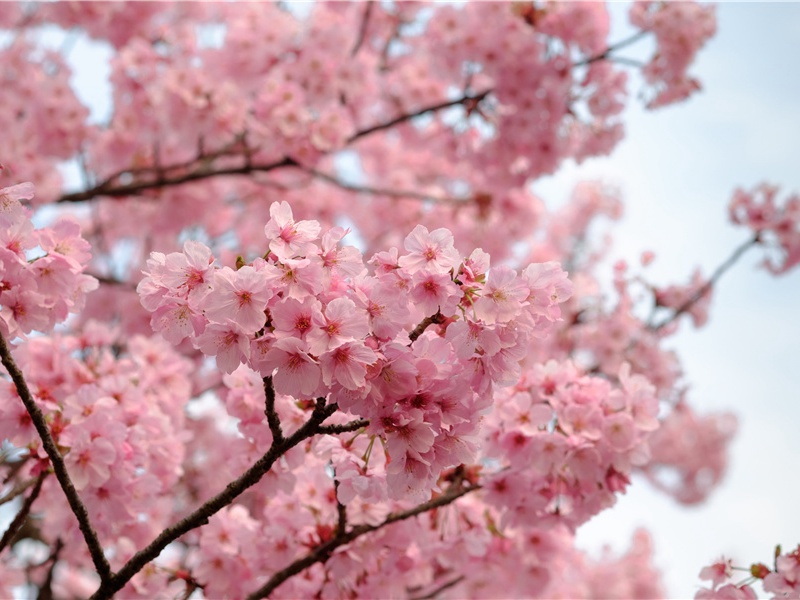 奇塔怪事-神奇的自然现象揭秘