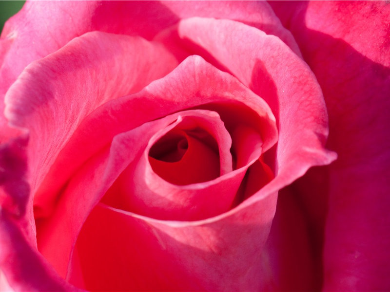 非洲的蚂蚁山奇观-神奇的动物之谜