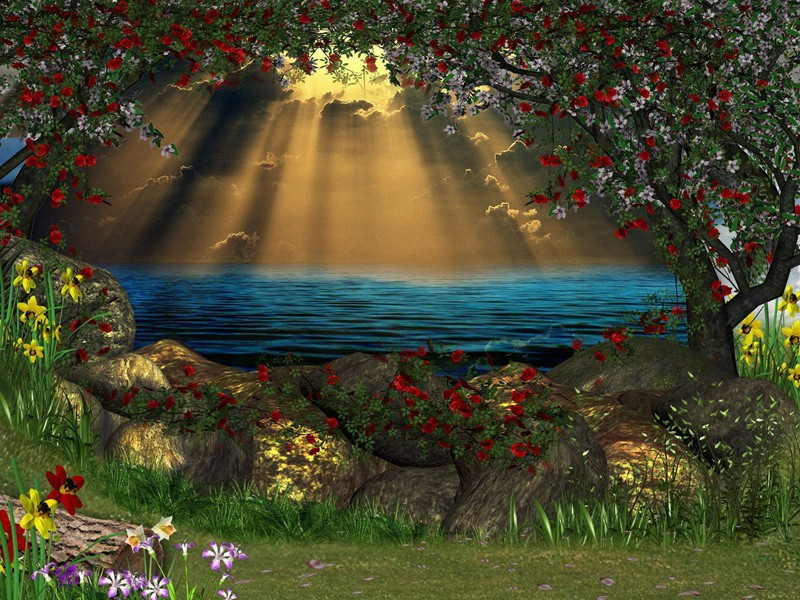 蚁巢趣闻-神奇的动物之谜