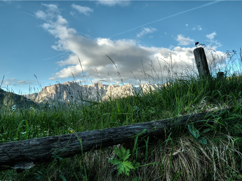 虎鲸奇闻-神奇的动物之谜