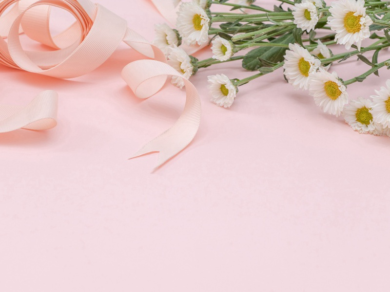 最粗的树-神奇的世界之最