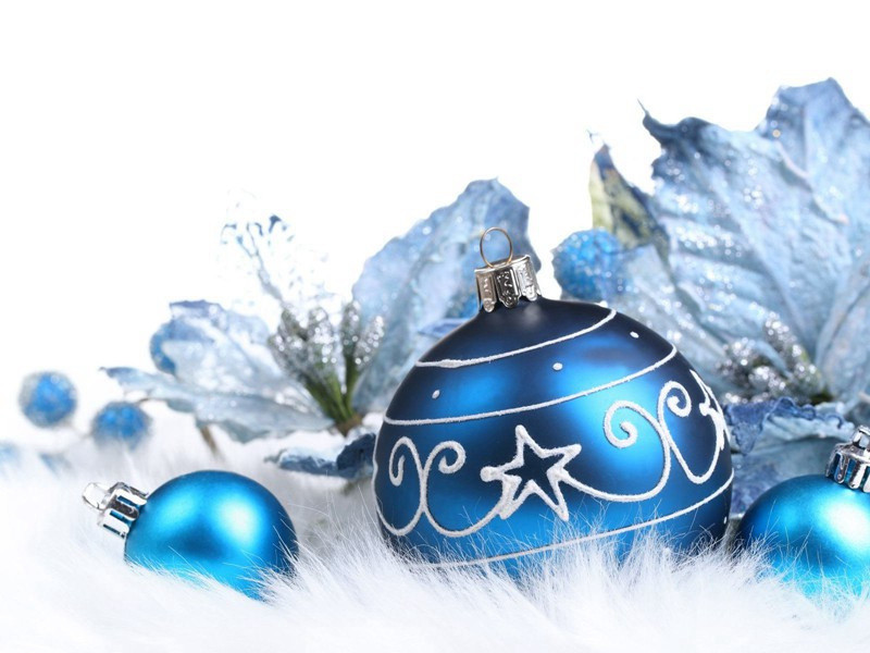 最大的陆地动物-神奇的世界之最