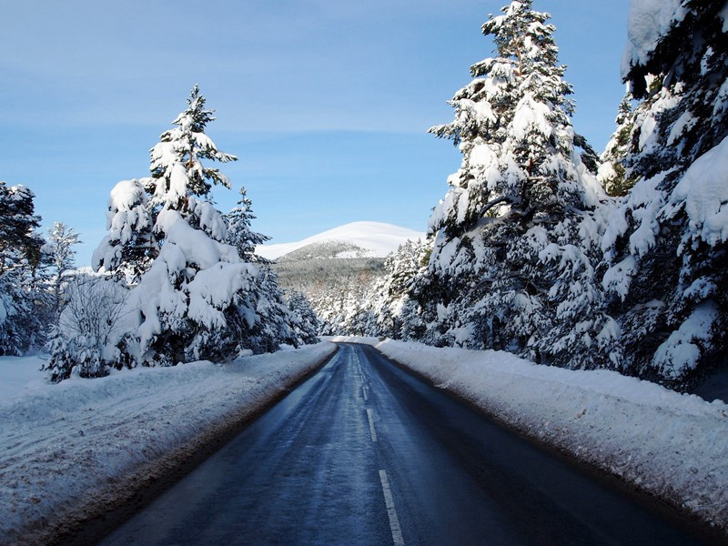 脚最多的动物——千足虫-神奇的世界之最