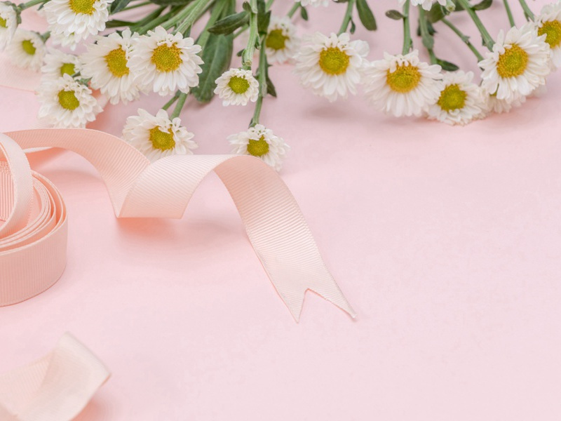 生日相同最多的子女们-神奇的世界之最