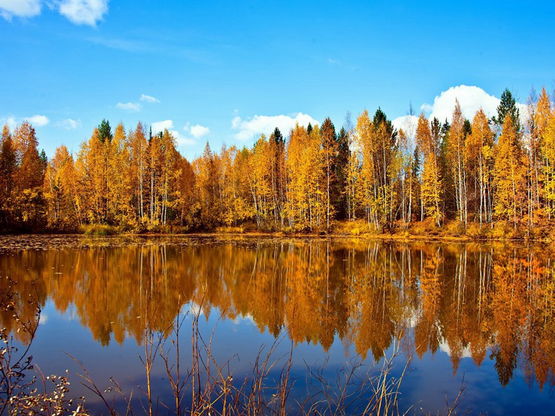 人口最多的城市-神奇的世界之最