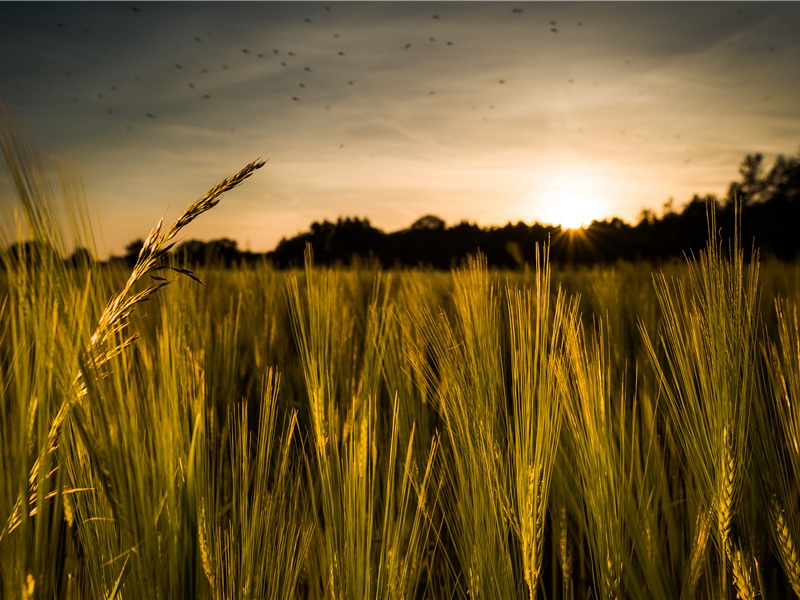 375万年前的人类始祖遗迹-远古历史的神秘文化