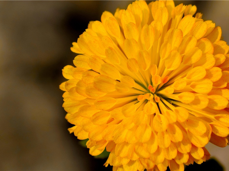 印加神奇的巨石建筑-远古历史的神秘文化