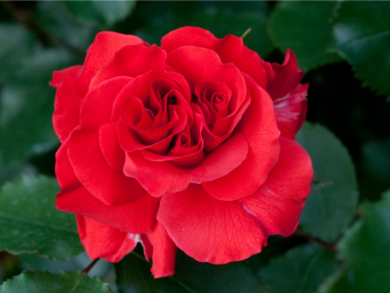 神秘莫测的巨石阵-远古历史的神秘文化