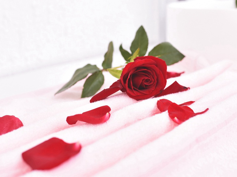 示巴女王的领地之谜-神奇的远古帝王