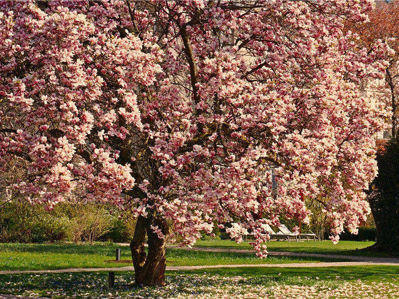 一万五千年前的地图之谜-探索古遗迹之谜