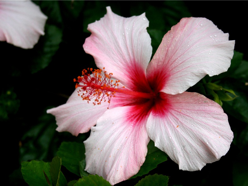 朝鲜历史上的山上王延优之谜-神奇的远古帝王