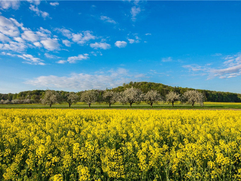 湖底中隐藏的秘密-历史的足迹