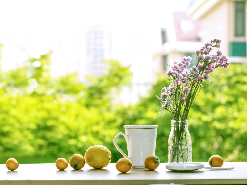 史前人类脑中驱魔之秘-历史的足迹