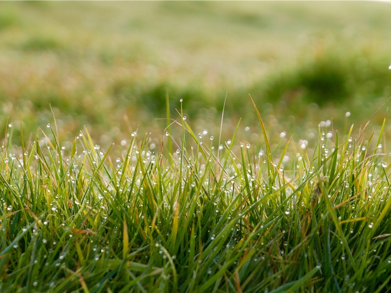 探寻上帝之门-历史的足迹