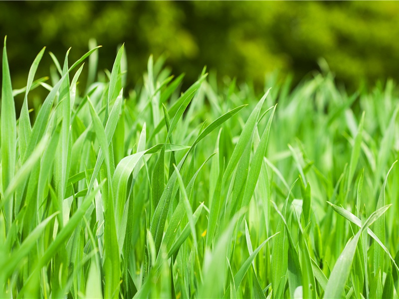 克里特岛的神密王宫-历史的足迹