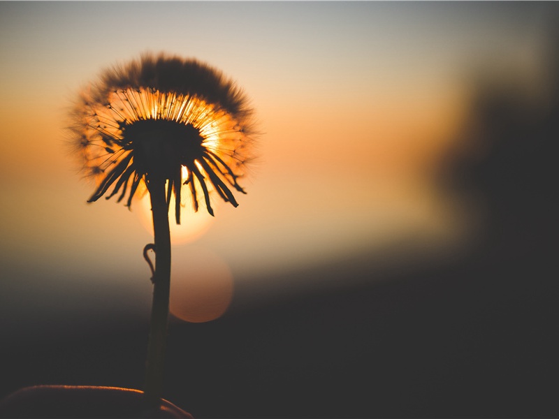 神奇的北美洲的土墩-历史怪现象