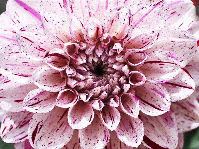 雄师在亚述站立了三百年-历史怪现象