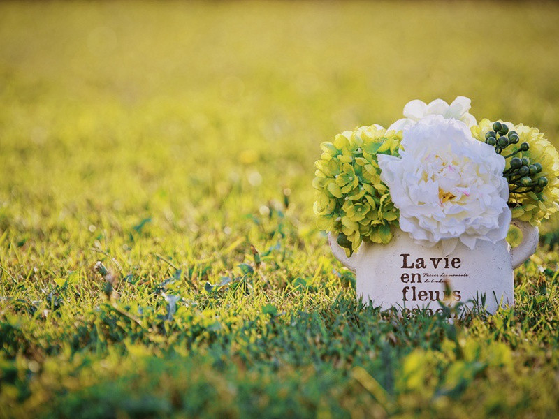 死里逃生之谜-各国历史之谜