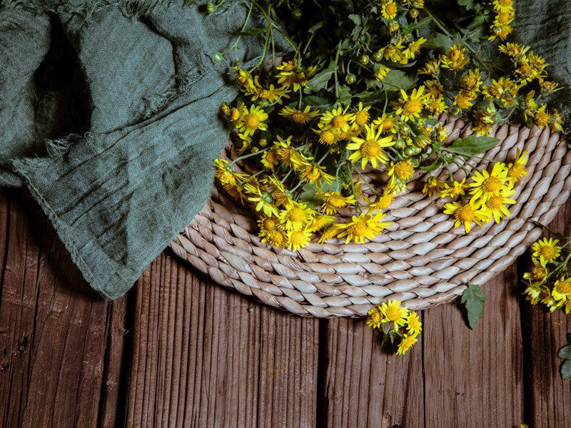 灵魂不朽问题的阐释-历史宗教之谜