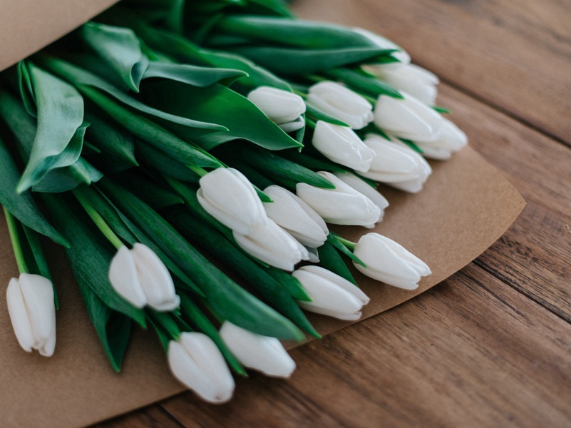 寻找古印加人-历史报告浪花传奇