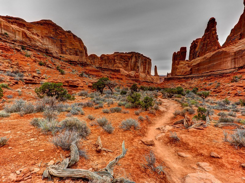 留着胡子的异乡人-历史报告浪花传奇