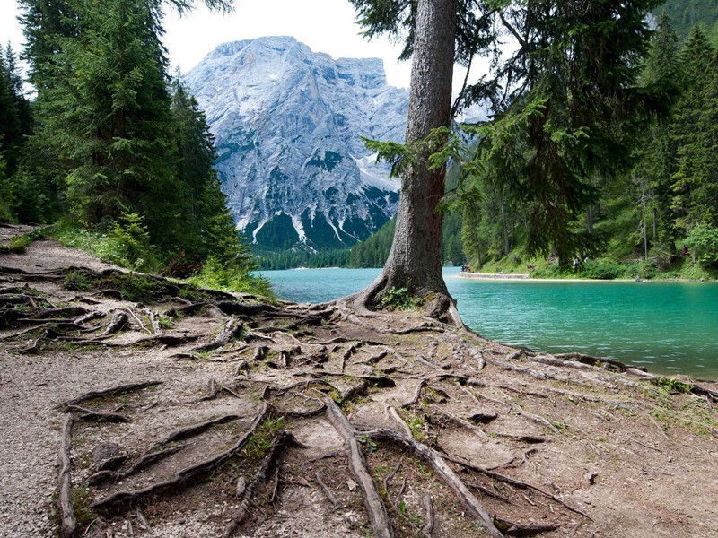 拼图游戏-历史报告浪花传奇