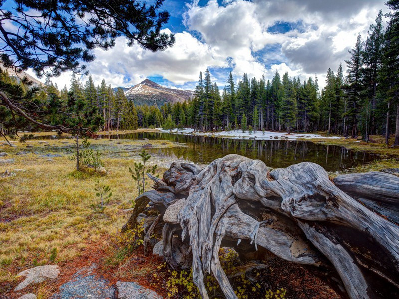 暗藏天机的图像-历史报告浪花传奇